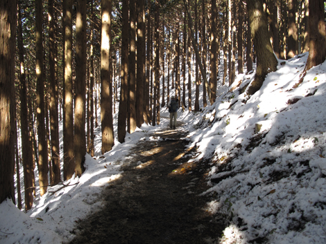 20161125hike (165)
